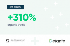SEO for an Art Gallery LueLue.pl- Polish Market