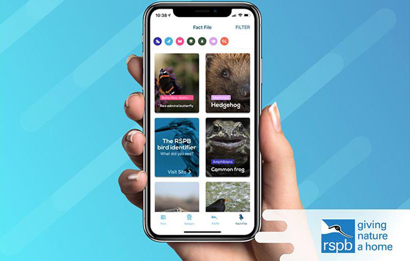 RSPB - Nature conservation from the comfort of your own garden