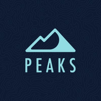 Peaks Digital Marketing
