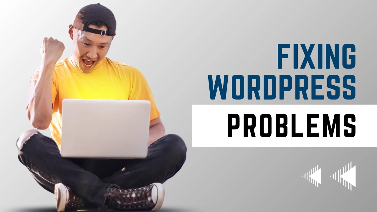 I Will Help You With Any WordPress Issues or Problems for you